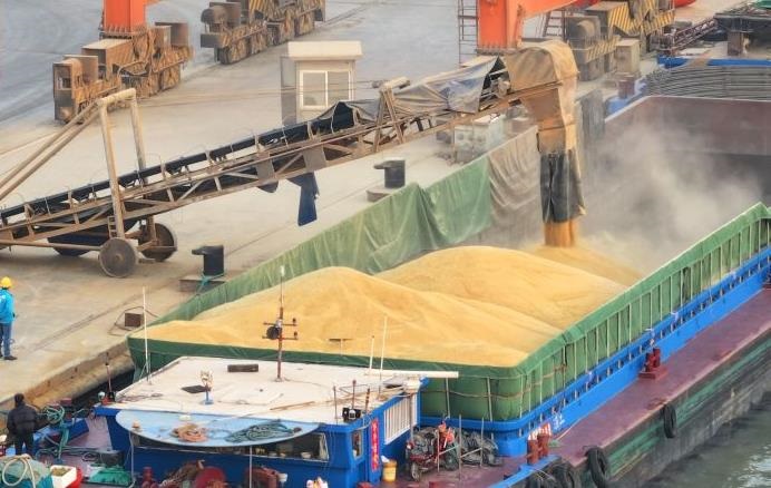 Новини України - Вивезення мільйонів тонн зерна з України: урядовцю РФ повідомлено підозру