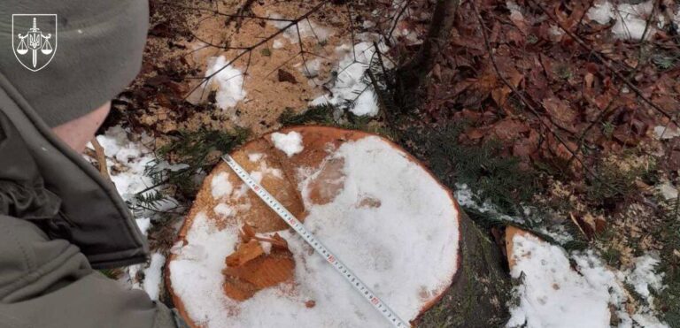 Новини України - Суд розгляне справу ексочільника ДСНС, який "розчистив" заказник на 7 млн