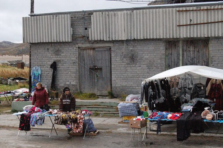 Новини світу - В Росії зафіксували спалах "щурячої лихоманки"