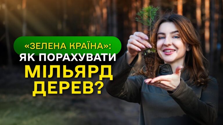 МІЛЬЯРД ДЕРЕВ зʼявився в Україні / як ДП "Ліси України" реалізували програму ЗЕЛЕНА КРАЇНА?