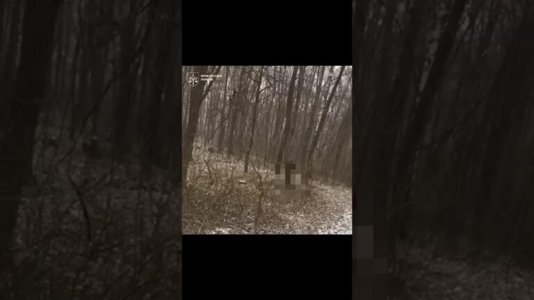 Фото для новини:Резонансне вбивство на Харківщині: трьох підлітків засуджено до 12 років ув’язнення