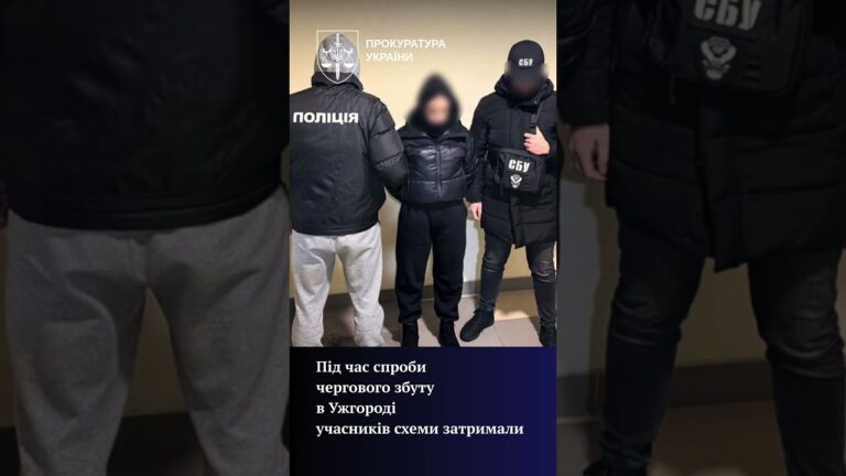 Фото для новини:На Закарпатті викрито схему збуту кокаїну, замаскованого під пральний порошок