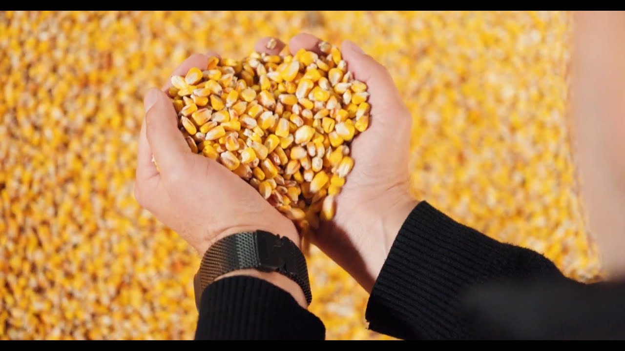 Фото для новини:ARISE: Історія стійкості фермера з Вінниччини