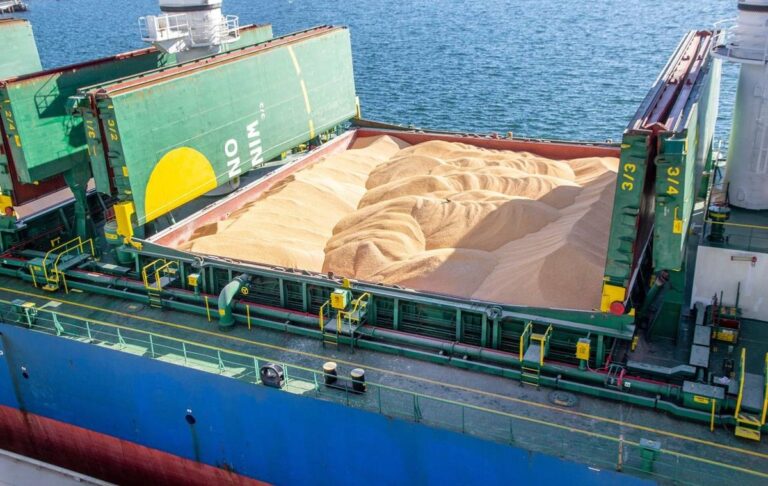 Фото для новини:Морським коридором експортовано 100 млн тонн зерна - Кулеба