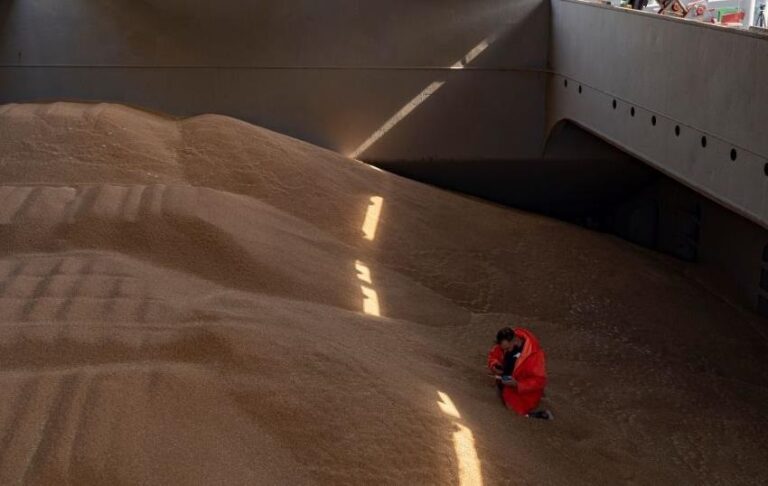 Фото для новини:Польща пожалілися в Раду ЄС на агроімпорт з України - ЗМІ