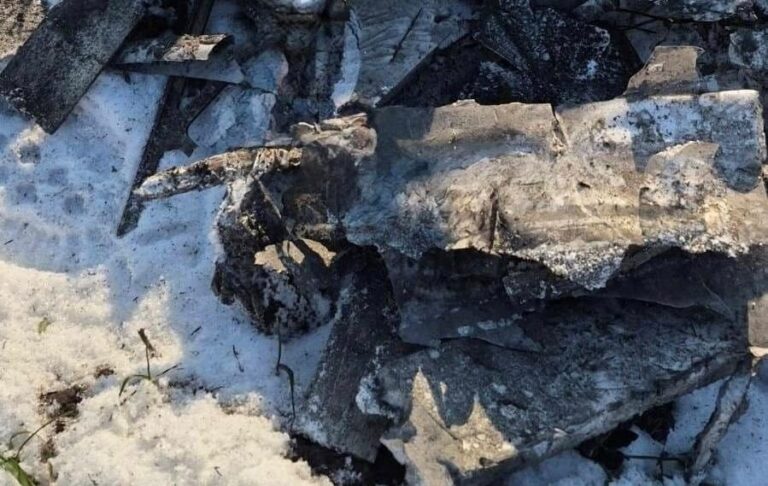 Фото для новини:Стало відомо, скільки цілей знешкодили сили ППО