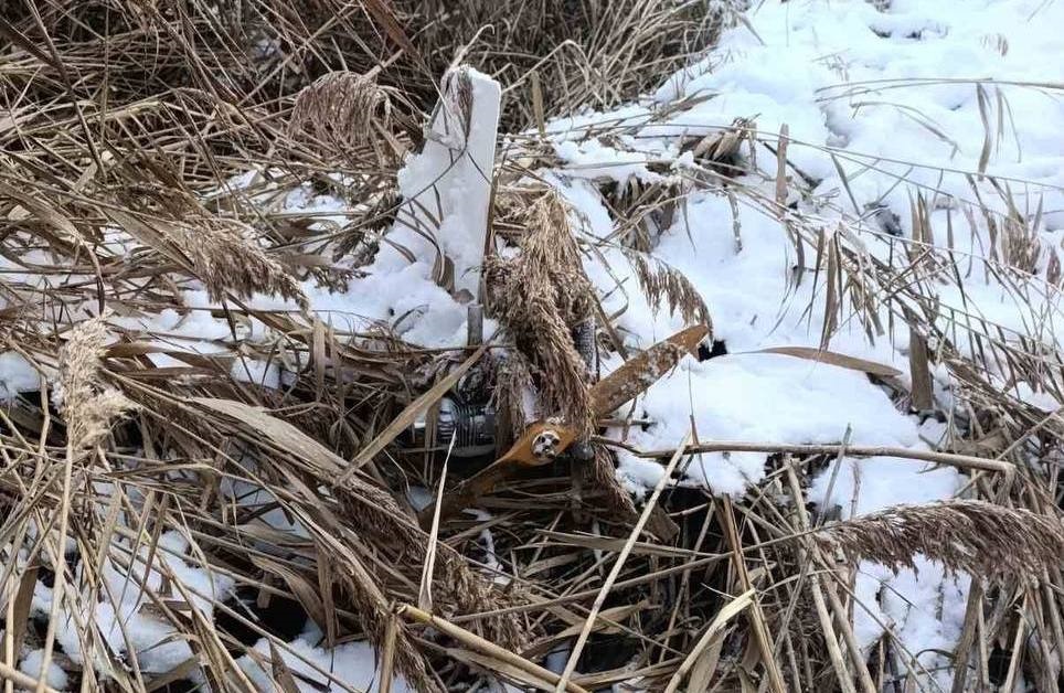 Фото для новини:У Молдові мисливець знайшов російський дрон