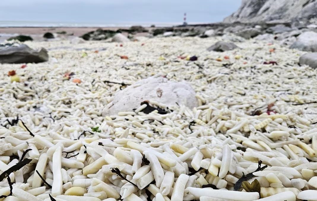 Фото для новини:В Англії на узбережжя викинуло тонни картоплі фрі та цибулі