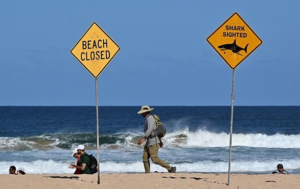Фото для новини:В Австралыъ 12-річний хлопчик помер після нападу акули