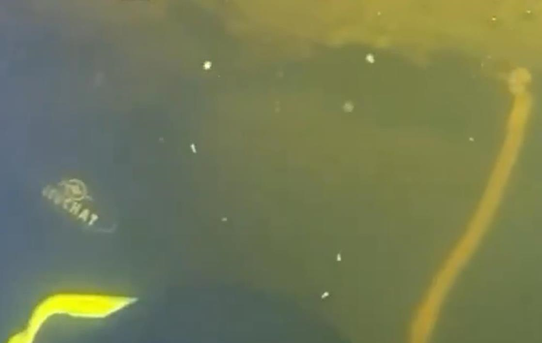 Фото для новини:Водолази ДСНС провели підводну операцію при -15&deg;C