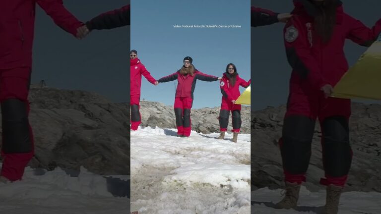 Фото для новини:Chain of Unity on Antarctica