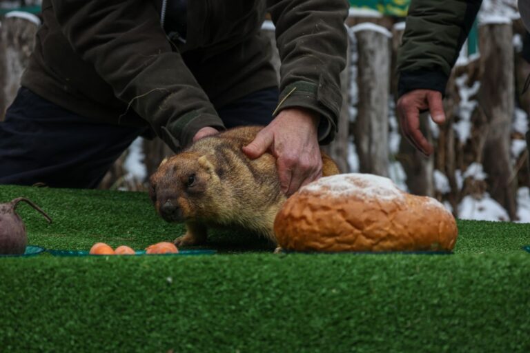 Фото для новини:Бабак Тимко "спрогнозував" весну за шість тижнів