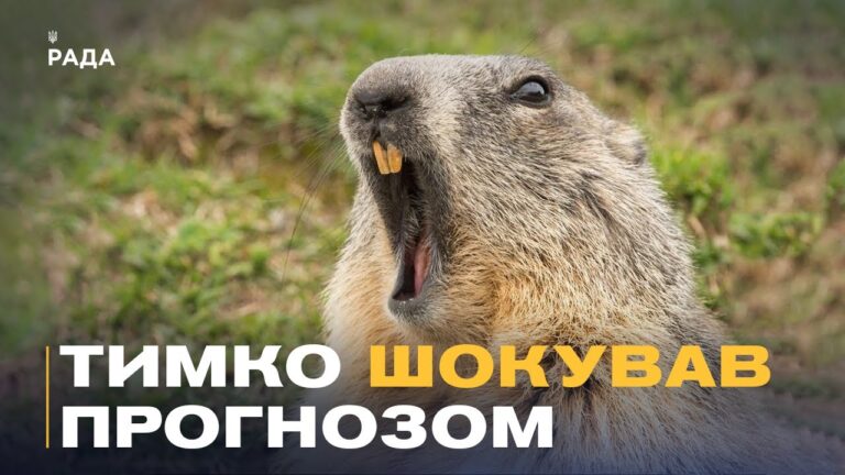 Фото для новини:Бабак Тимко зробив прогноз: скільки ще триватиме зима?