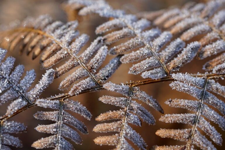 Фото для новини:Гороскоп для всіх знаків зодіаку на 20 лютого 2026 року