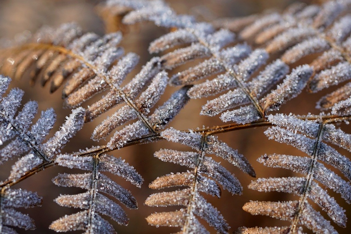 Фото для новини:Гороскоп для всіх знаків зодіаку на 20 лютого 2026 року