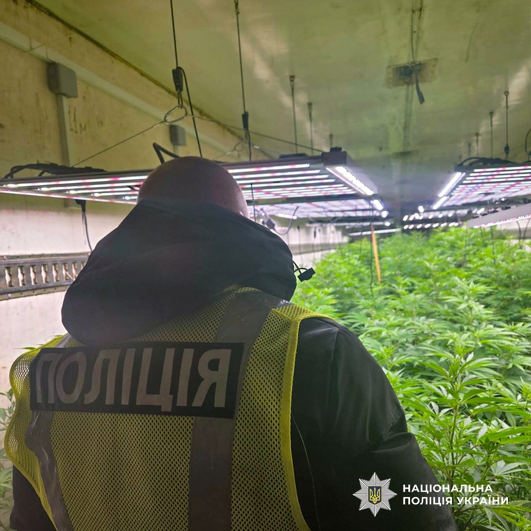 Фото для новини:На Черкащині викрили промислову наркоплантацію з сонячними панелями
