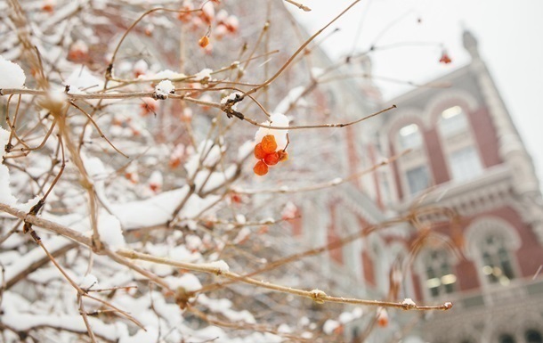 Фото для новини:НБУ учетверте поспіль зменшив продаж доларів