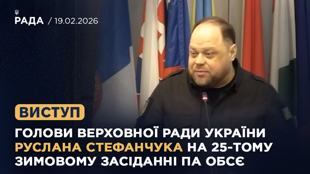 Фото для новини:Виступ Руслана Стефанчука на 25-й зимовій сесії Парламентської асамблеї ОБСЄ у Відні