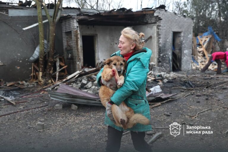 Фото для новини:Росіяни вдарили по собачому притулку у Запоріжжі