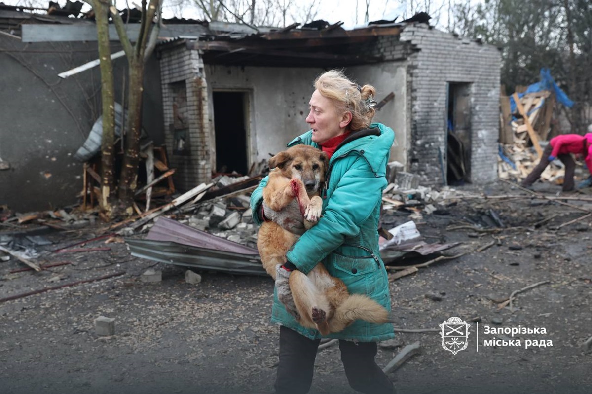 Фото для новини:Росіяни вдарили по собачому притулку у Запоріжжі