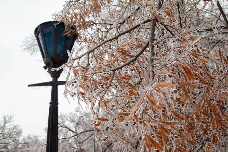 Фото для новини:Сильні морози, переважно без опадів: погода на початку лютого