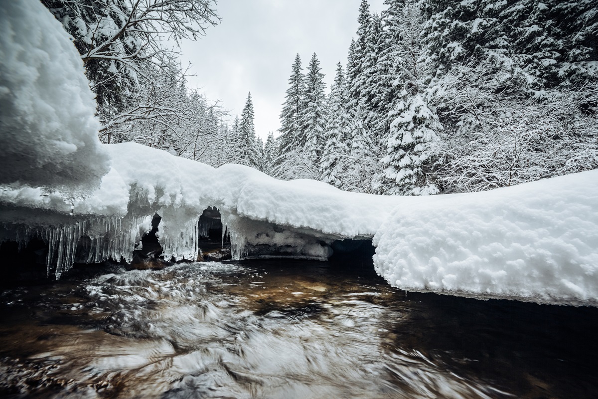 Фото для новини:Сніг, дощ й морози: погода на вихідних