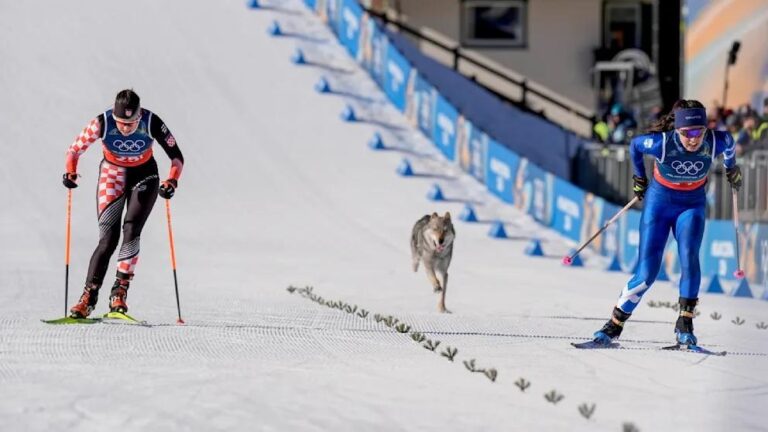 Фото для новини:Собака став учасником жіночого кросу на Олімпіаді