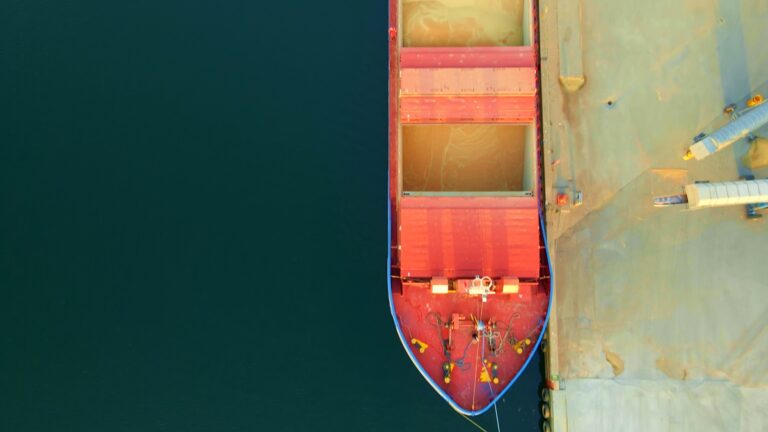 Фото для новини:США витісняє українську кукурудзу з ринку ЄС - ЗМІ