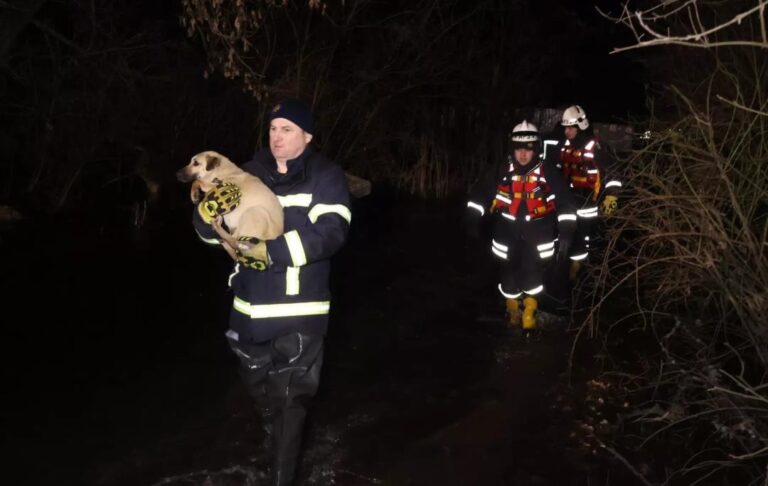 Фото для новини:У Кропивницькому через розлив річки затопило притулок для тварин