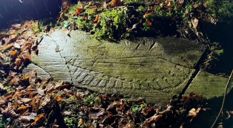 Фото для новини:У Норвегії знайшли 3000-річні наскельні різьблення доби бронзи