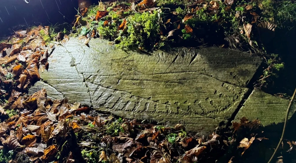 Фото для новини:У Норвегії знайшли 3000-річні наскельні різьблення доби бронзи