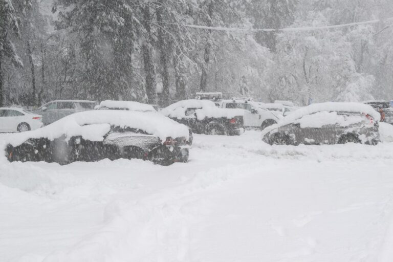 Фото для новини:У США лавина накрила групу лижників: багато жертв