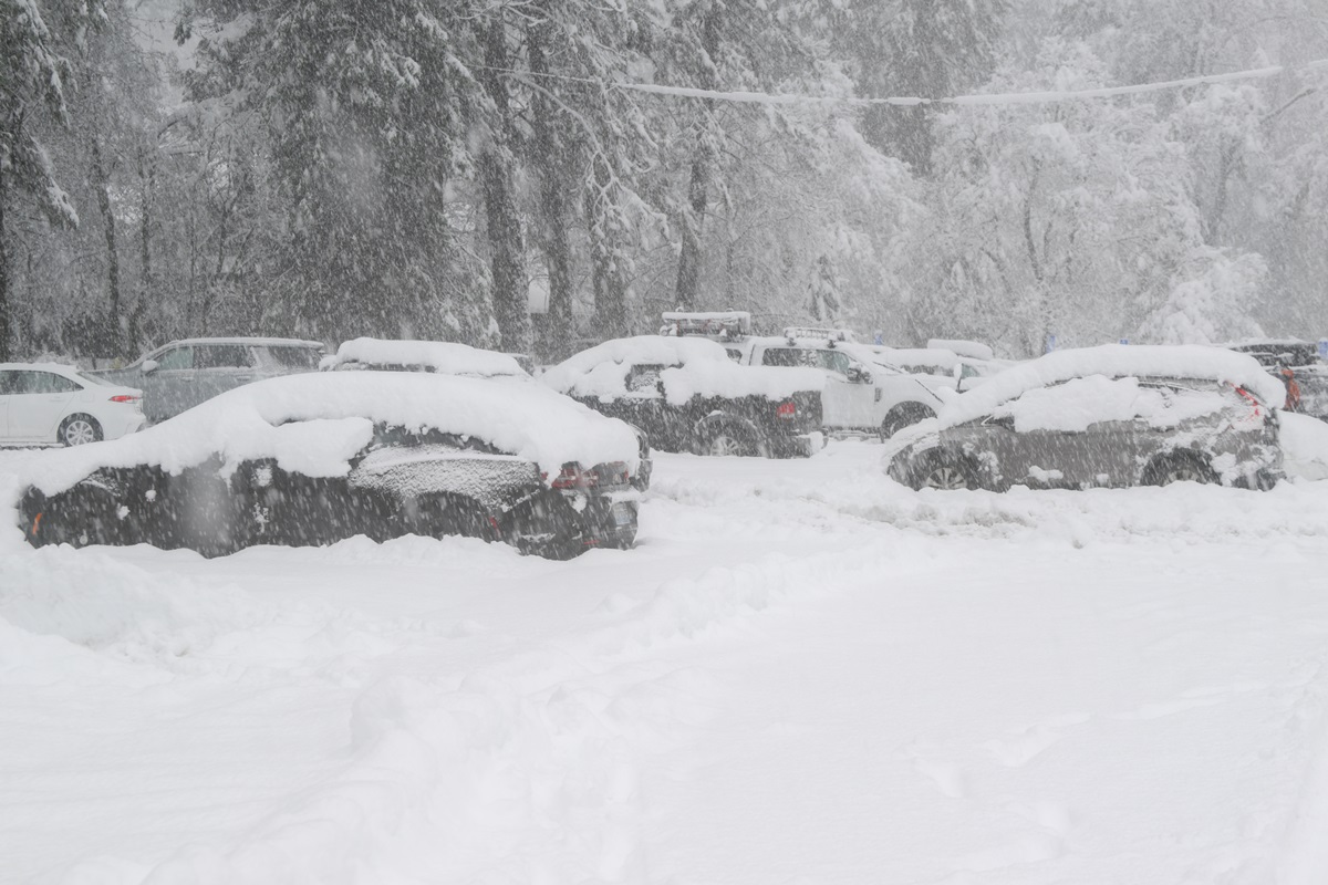 Фото для новини:У США лавина накрила групу лижників: багато жертв