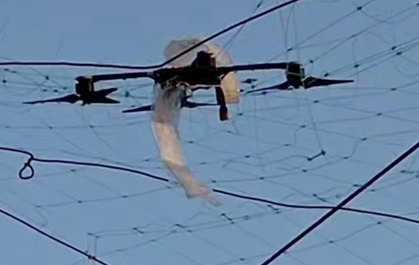 Фото для новини:В Україні пришвидшили будівництво антидронових сіток - Федоров