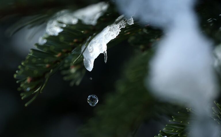Фото для новини:В Україні прогнозують значне потепління