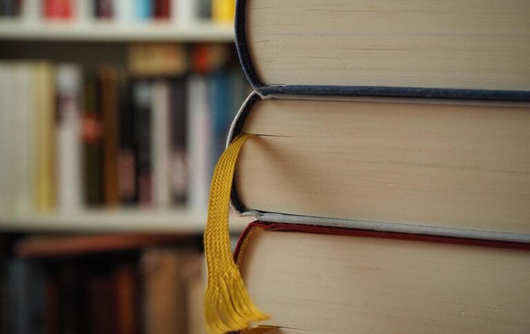 Фото для новини:В Україні заблокували інтернет-магазин за продаж російських книжок