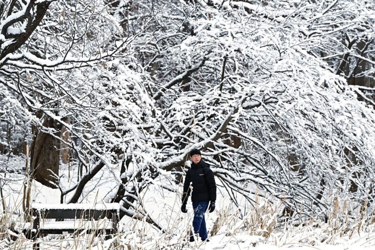 Фото для новини:В Японії через снігопади загинули 35 людей