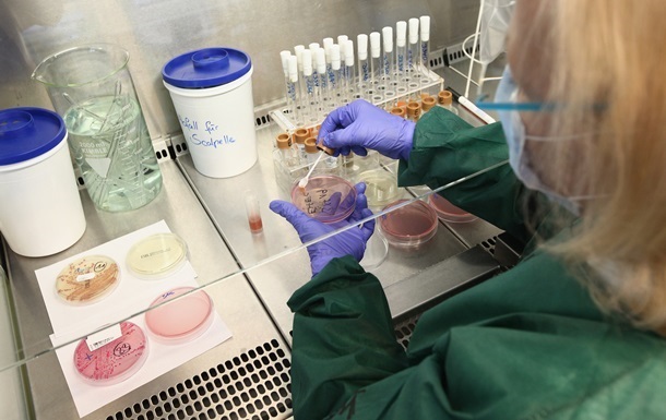 Фото для новини:Вчені створили бактерії, здатні "з'їдати" ракові пухлини