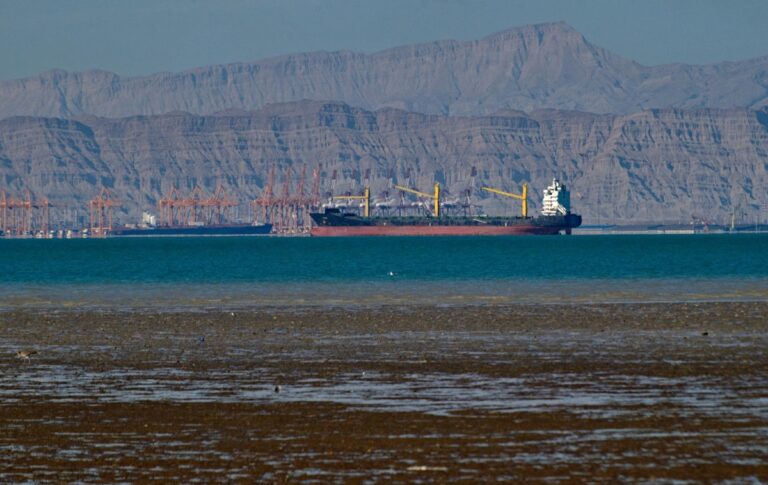 Фото для новини:Індія купила в Ірану нафту після зняття санкцій США - ЗМІ