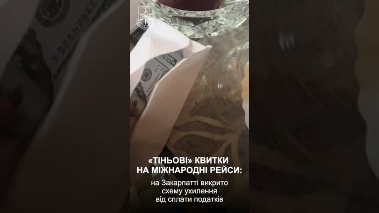 Фото для новини:Продавали квитки на рейси до ЄС без кас і податків: багатомільйонну схему викрито на Закарпатті