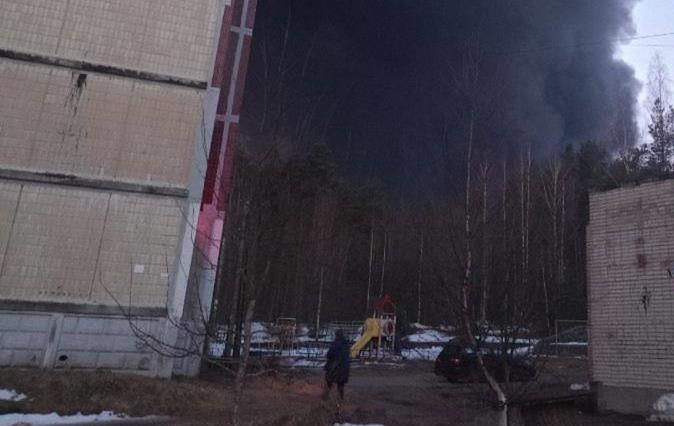 Фото для новини:Ленобласть РФ атакували дрони: сталася пожежа