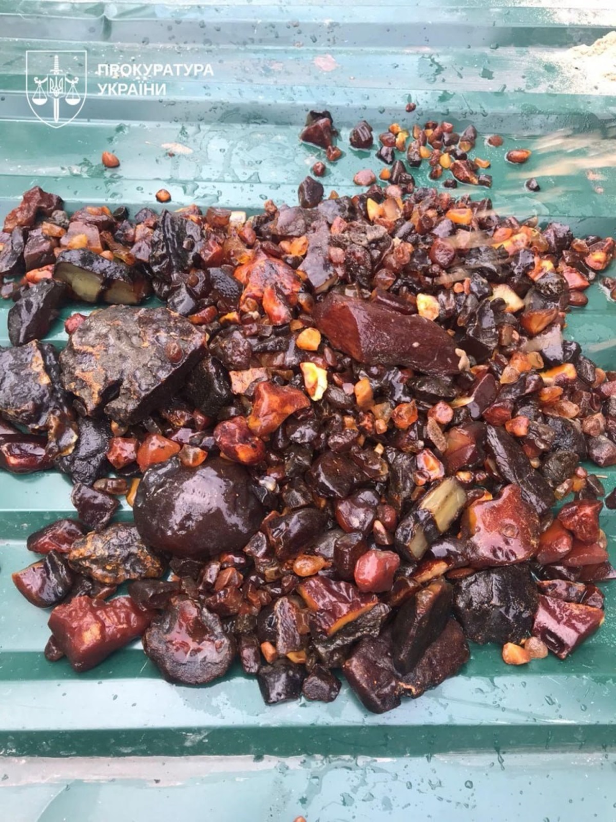 Фото для новини:На Рівненщині викрили схему видобутку бурштину на сотні мільйонів