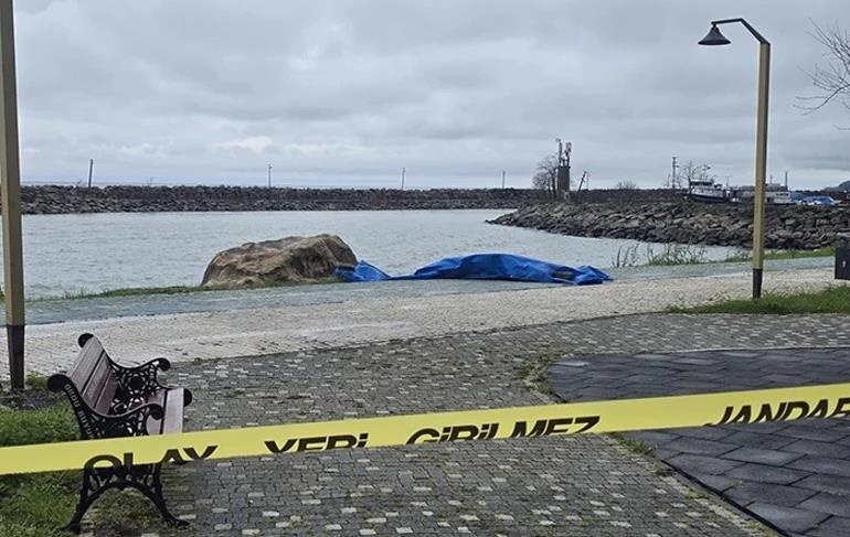 Фото для новини:На узбережжі Туреччини виявили двохметровий дрон