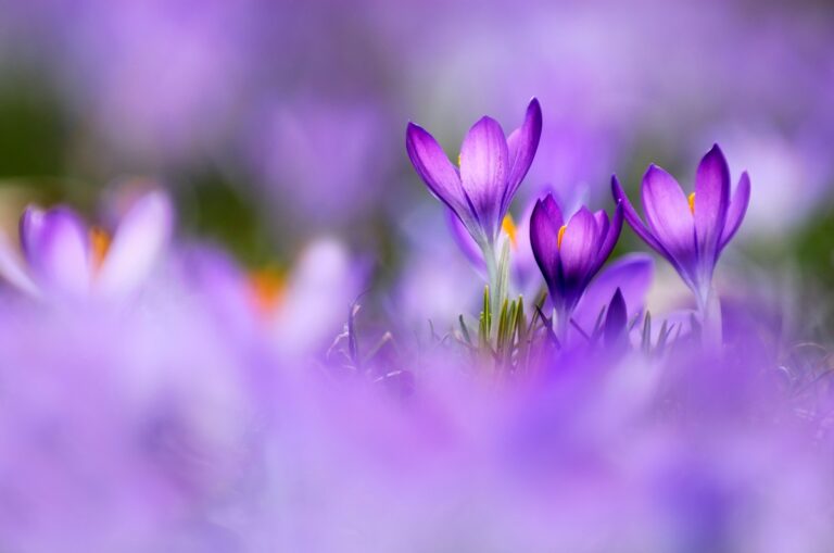 Фото для новини:Незначне потепління, місцями дощитиме: погода у вихідні