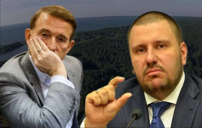 Фото для новини:Пов&rsquo;язані з Медведчуком і Клименком землі на Київщині повернули державі