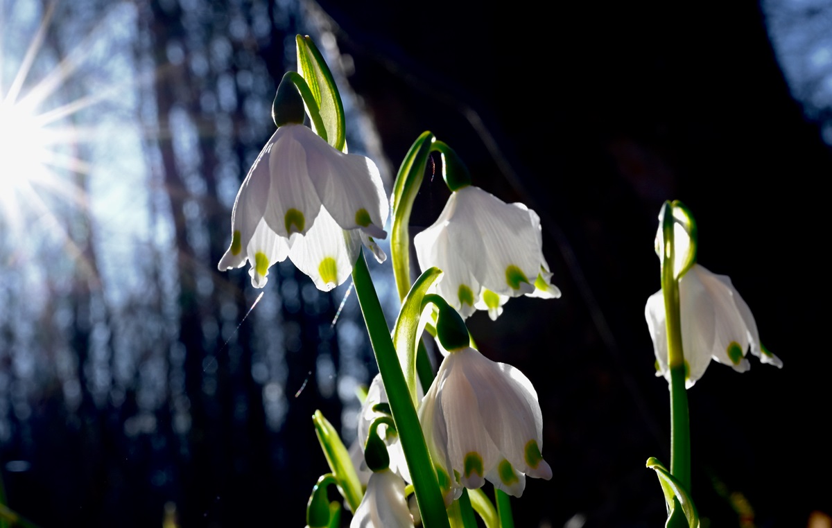 Фото для новини:Прогріє до +15&deg;: якою буде погода на початку тижня