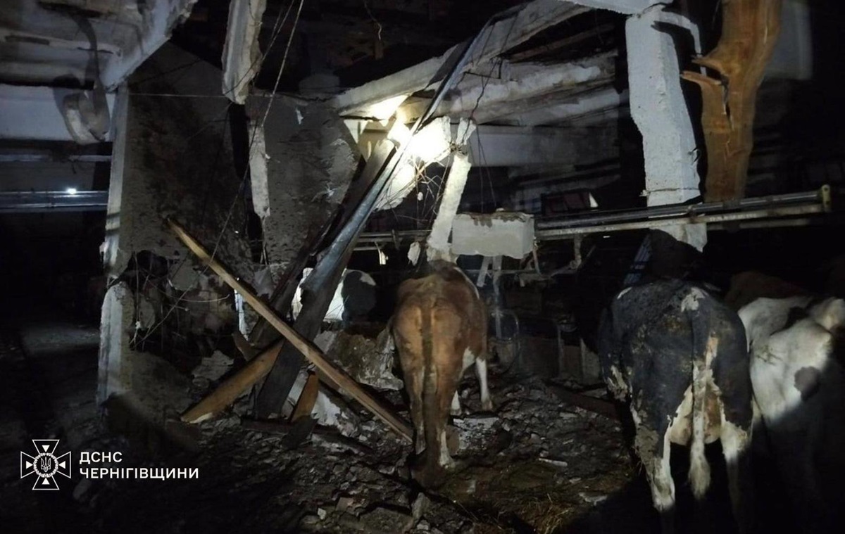 Фото для новини:РФ атакувала сільгосппідприємство на Чернігівщині