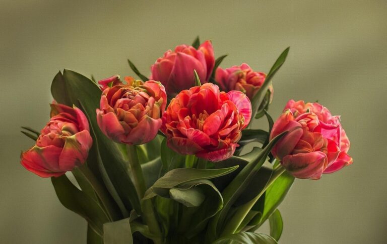 Фото для новини:Свята 10 березня 2026: які заборони та події