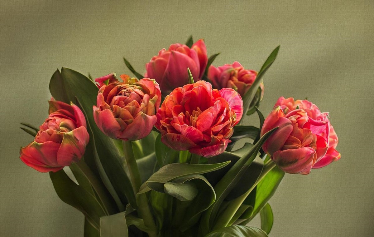 Фото для новини:Свята 10 березня 2026: які заборони та події