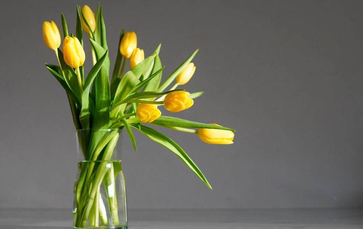 Фото для новини:Свята 12 березня 2026: історія, традиції, прикмети